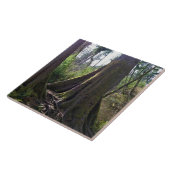 Cathedraal, Astoria, Oregon Tegeltje (Zijkant)