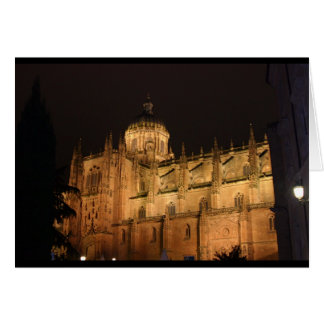 Cathedraal bij Salamanca
