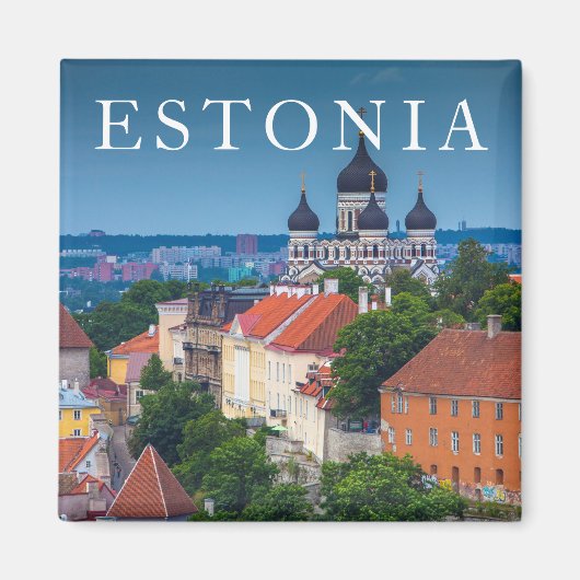 Cathedraal en Cityscape | Estland Magneet (Voorkant)
