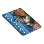 Cathedraal en Cityscape | Estland Magneet (Rechterzijde)