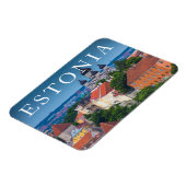 Cathedraal en Cityscape | Estland Magneet (Linkerzijde)