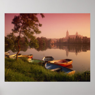 Cathedraal en de Tormes, Salamanca, Castilla Poster