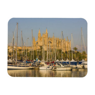 Cathedraal en marina, Palma, Mallorca, Spanje 2 Magneet