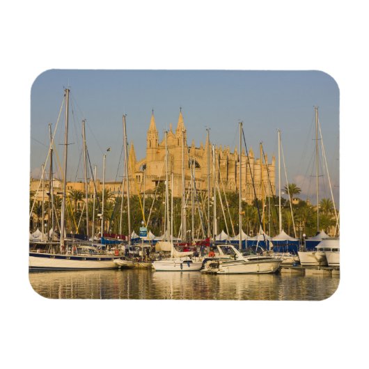 Cathedraal en marina, Palma, Mallorca, Spanje 2 Magneet (Horizontaal)