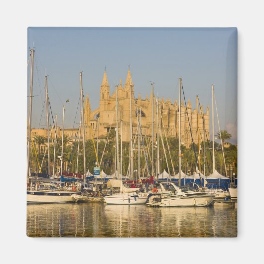 Cathedraal en marina, Palma, Mallorca, Spanje 2 Magneet (Voorkant)