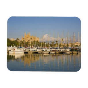 Cathedraal en marina, Palma, Mallorca, Spanje Magneet