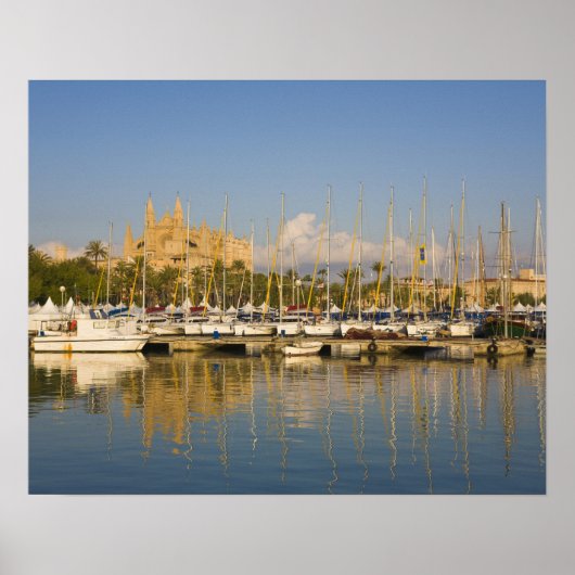 Cathedraal en marina, Palma, Mallorca, Spanje Poster (Voorkant)