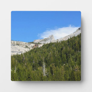 Cathedraal Peak bij Tenaya Lake, Yosemite, CA Fotoplaat