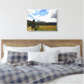 Cathedraal Peak in Tuolumne Meadows, Yosemite, CA Canvas Afdruk (Insitu (Slaapkamer))