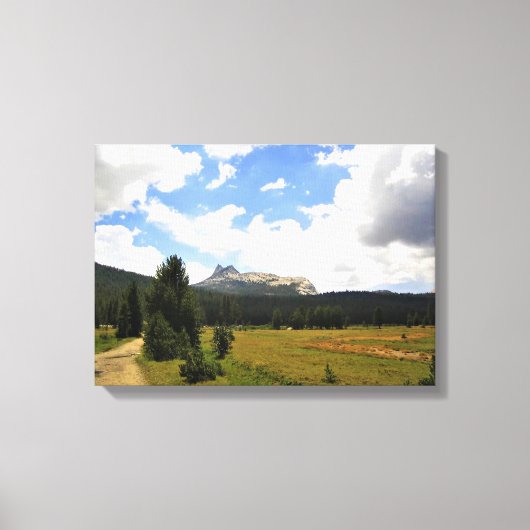 Cathedraal Peak in Tuolumne Meadows, Yosemite, CA Canvas Afdruk (Voorkant)