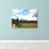 Cathedraal Peak in Tuolumne Meadows, Yosemite, CA Canvas Afdruk (Insitu (Houten vloer))