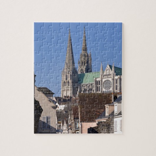 Cathedraal van Chartres in Frankrijk Legpuzzel (Verticaal)
