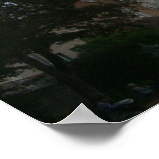 Cathedraal van Chartres Poster (Hoek)