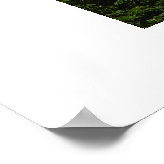 Cathedraal van St. Vitus Poster (Hoek)