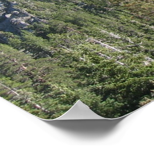 Cathedral Rock 0823 Poster (Hoek)