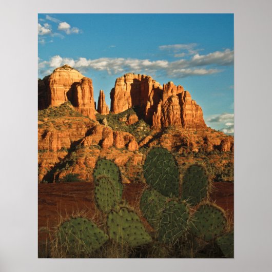 Cathedral Rock bij Sunset van Secret Canyon Poster (Voorkant)