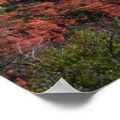 Cathedral Rock in Sedona Arizona Monument Poster (Hoek)