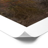 Cathedral Rock Poster (Hoek)