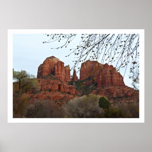 Cathedral Rock Poster (Voorkant)