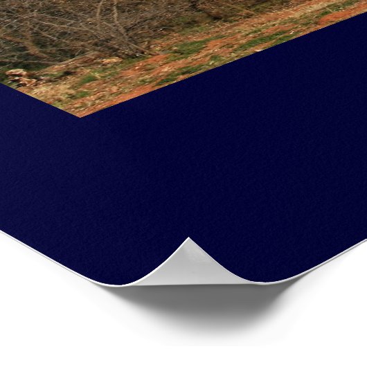 Cathedral Rock Poster (Hoek)