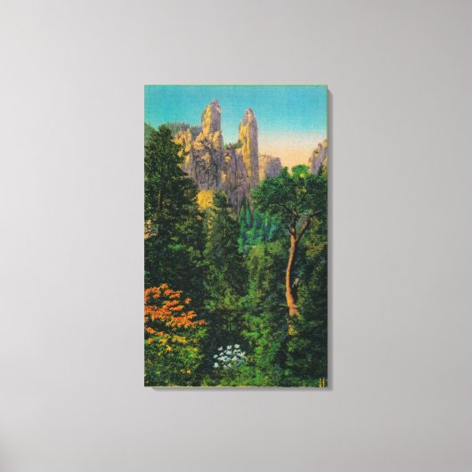 Cathedral Spires en Yosemite Valley Canvas Afdruk (Voorkant)