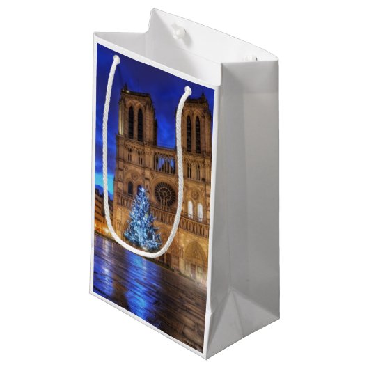 Cathédrale Notre-Dame de Paris Klein Cadeauzakje (Voorkant Gekanteld)