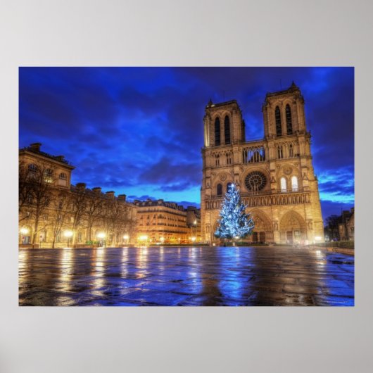 Cathédrale Notre-Dame de Paris Poster (Voorkant)