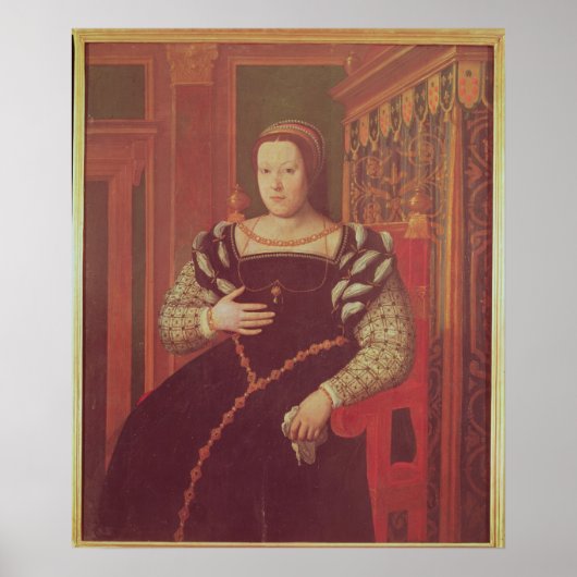 Catherine de Medici, 1585-86 Poster (Voorkant)
