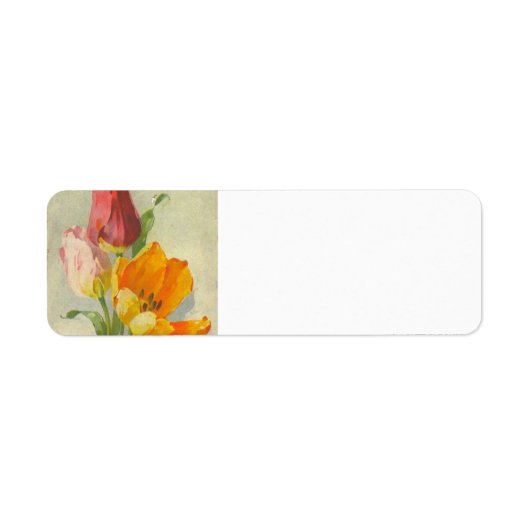 Catherine Klein  Briefkaart Reproductie Etiket (Voorkant)