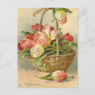Catherine Klein Briefkaart Reproduction