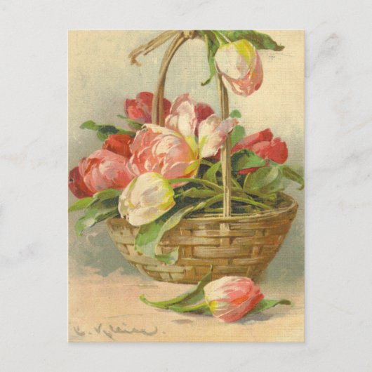 Catherine Klein  Briefkaart Reproduction (Voorkant)