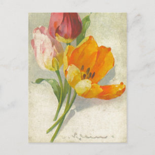 Catherine Klein  Briefkaart Reproduction