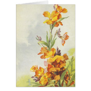 Catherine Klein Briefkaart Reproduction Card