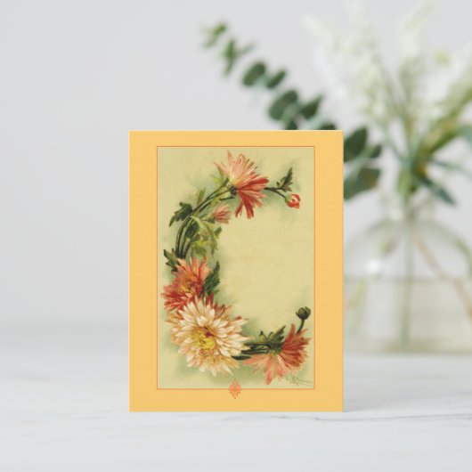 Catherine Klein Flower Alphabet C Chrysanthemum Briefkaart (Staand voorkant)