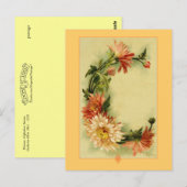 Catherine Klein Flower Alphabet C Chrysanthemum Briefkaart (Voorkant / Achterkant)