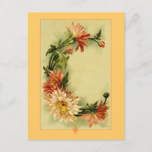 Catherine Klein Flower Alphabet C Chrysanthemum Briefkaart