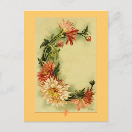 Catherine Klein Flower Alphabet C Chrysanthemum Briefkaart (Voorkant)