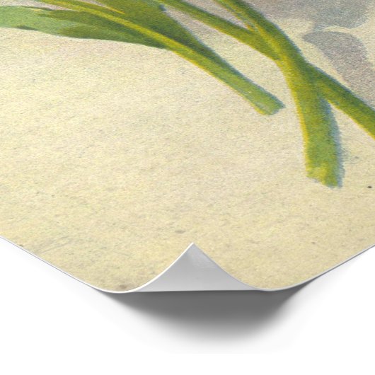 Catherine Klein  Reproduction Poster (Hoek)