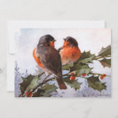 Catherine Klein: Robins op Holly (Voorkant)