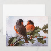 Catherine Klein: Robins op Holly (Voorkant / Achterkant)