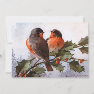 Catherine Klein: Robins op Holly