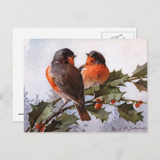 Catherine Klein: Robins op Holly Briefkaart (Voorkant / Achterkant)