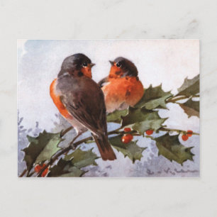 Catherine Klein: Robins op Holly Briefkaart