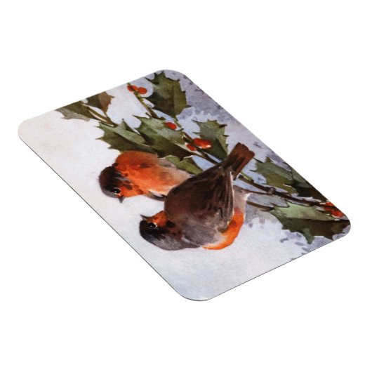 Catherine Klein: Robins op Holly Magneet (Rechterzijde)