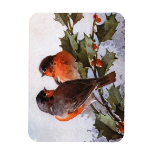 Catherine Klein: Robins op Holly Magneet (Verticaal)