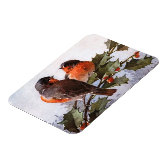 Catherine Klein: Robins op Holly Magneet (Linkerzijde)
