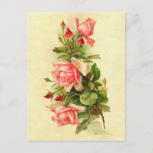 Catherine Klein Victoriaans Vloer Rozen Bouquet Briefkaart (Voorkant)