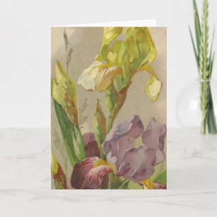 Catherine Klein  Wenskaart Reproduction Kaart