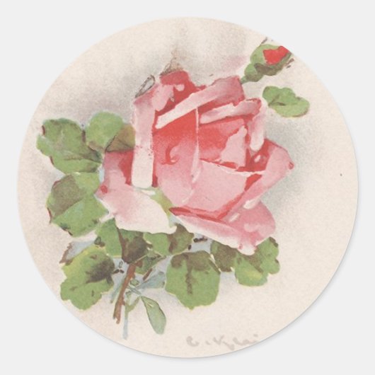 Catherine Klein's Roze Roos Ronde Sticker (Voorkant)