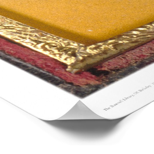 Catherine Mapes Bunnell (40223) Poster (Hoek)